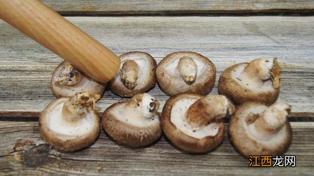 鲜香菇不能和哪些东西一起吃?新鲜香菇不能与什么一起吃,实在太有用了