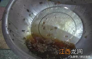 怎样过滤蜂蜜才干净？过滤蜂蜜最好方法，读完才会真正了解