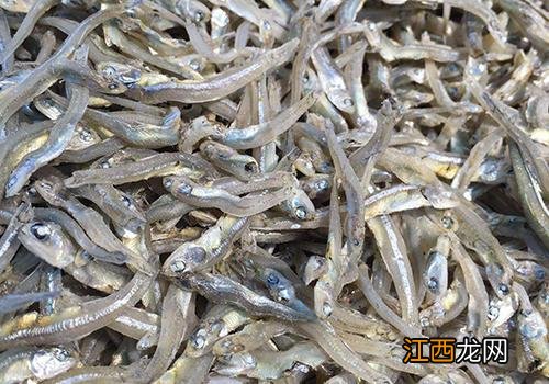 面条鱼的营养价值