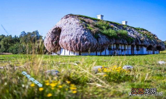什么海藻好用又便宜?哪些是海藻,该问题已经解决