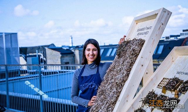 什么海藻好用又便宜?哪些是海藻,该问题已经解决