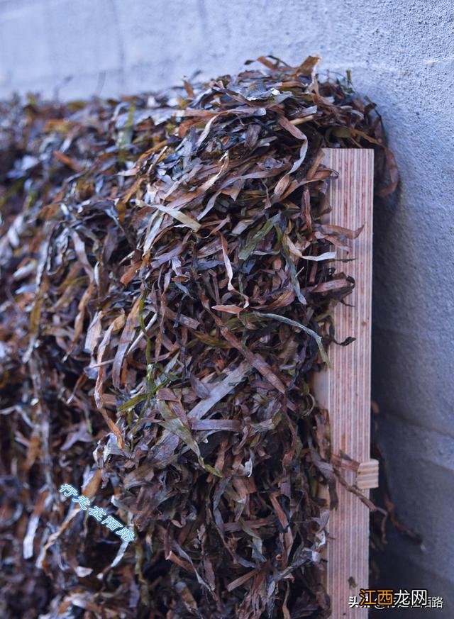 什么海藻好用又便宜?哪些是海藻,该问题已经解决