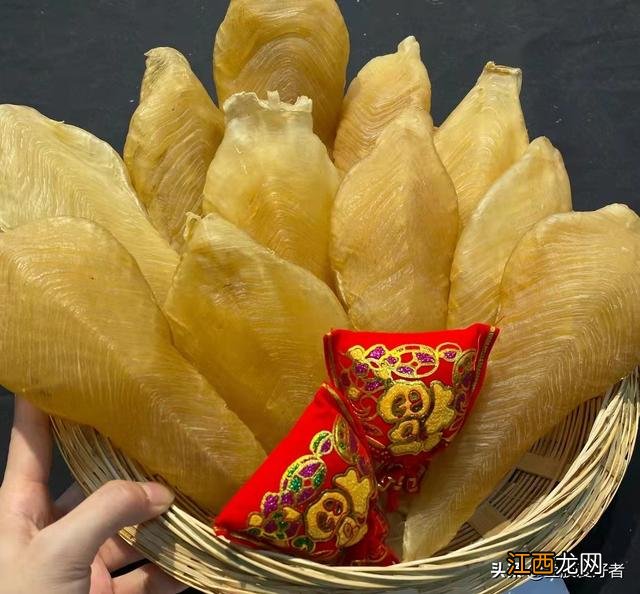 与鱼胶功效相同的食物？各类鱼胶的功效与作用，千万别忽视这几点