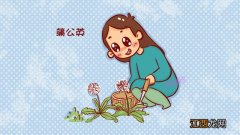 孕妇喝什么泡水好？孕期适合什么泡水喝，这些你了解多少？