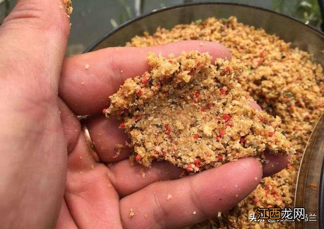 裸斑鱼喜欢吃什么食物?裸斑鱼最喜欢吃的饵料,看完终于恍然大悟
