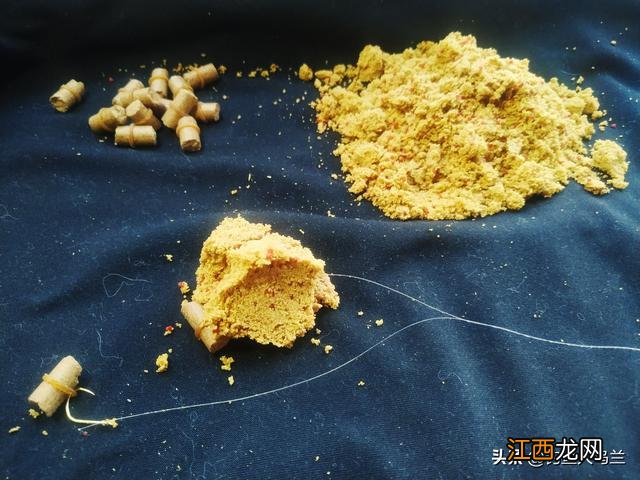 裸斑鱼喜欢吃什么食物?裸斑鱼最喜欢吃的饵料,看完终于恍然大悟