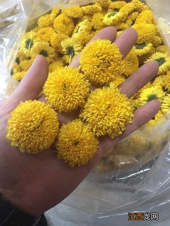 什么花适合生吃?哪一种花可以吃,有深度的科普文章