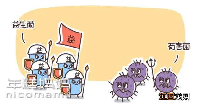 吃什么可以补充乳酸菌呢?吃什么能促进乳酸菌,提升level的文章