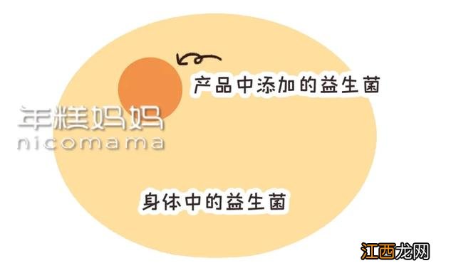 吃什么可以补充乳酸菌呢?吃什么能促进乳酸菌,提升level的文章