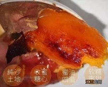 红薯哪个季节成熟？烟薯25红薯成熟时间，少花时间看完这文章