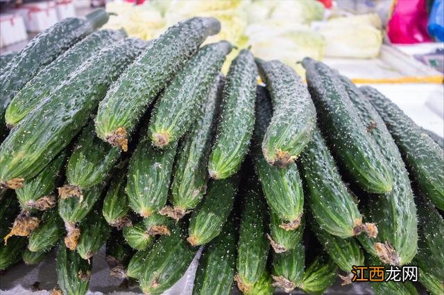 蔬菜的主要种类有哪些?蔬菜都有哪五种,这篇文章写的真好