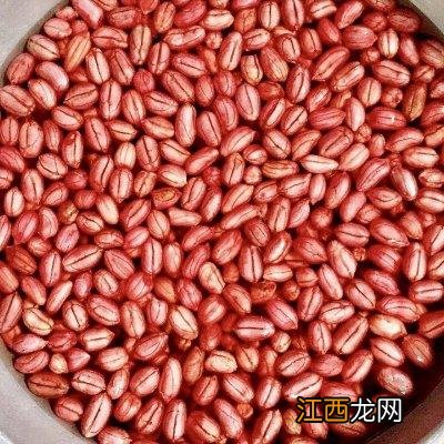 什么样的豆子叫花生豆？花生豆的营养价值，看完，会派上用场的