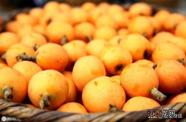 宝宝枇杷水喝多了会怎么样?一周宝宝能喝枇杷水吗,这篇告诉你