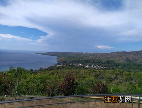 为什么吃完山药舌头发麻 真正的垆土山药是哪里的