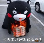 绿豆汤不可以和什么豆煮？绿豆不能和什么煮汤，这文章，感觉很不错