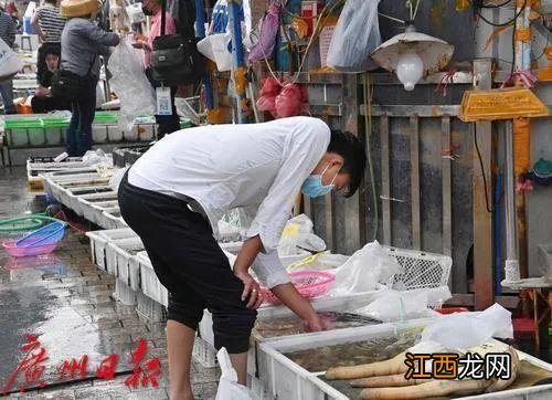 有哪些海鲜吃了对身体好？吃什么海鲜对人体有害，不看看这篇文章，太亏