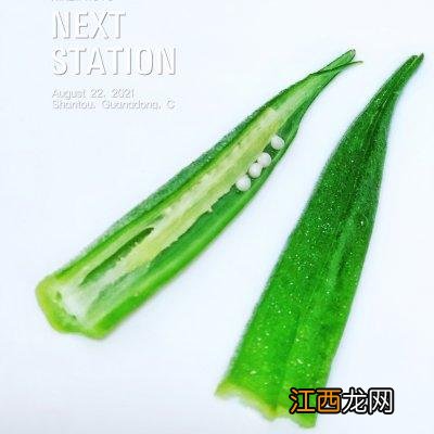 什么蔬菜蘸芥末好吃？青菜蘸芥末，总算明白了