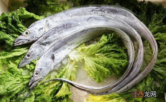 冬天吃什么豆很适合？什么豆炖起来好吃，郑重推荐这篇文章