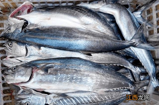 冬天吃什么豆很适合？什么豆炖起来好吃，郑重推荐这篇文章