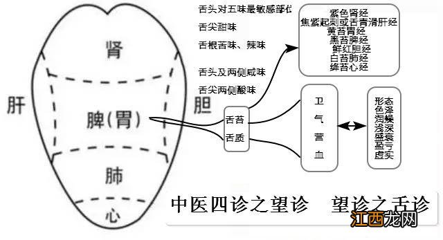 测试体质推荐吃什么的app？哪个菜谱app很全，今天科普给你