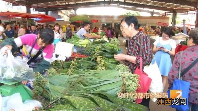 什么叶子可以作为粽叶？粽叶是芦苇叶还是什么叶，有福了，解读文章