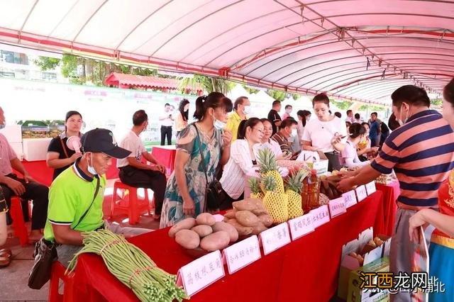 三月三做五色饭的配料？三合饭是哪三种米组成，记住这几个特征