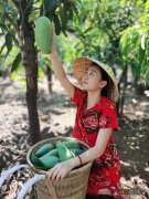 生芒果什么时候吃最好？芒果是生的可以吃吗，建议需要听一听