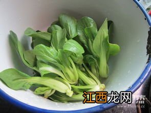 油菜最好的搭配和做法 油菜最好的搭配和做法