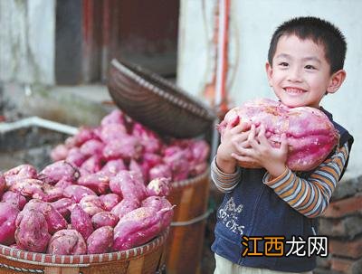 油菜花粉起什么作用的？竹子花粉的功效和作用，内容解读详细，赞！