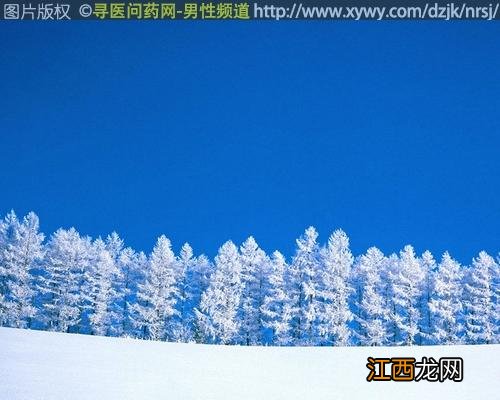 藏红花炖肉对身体有哪些好？藏红花煮水可以吗，一定要看到最后