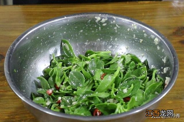 老鸽同田七炖汤?田七炖汤要不要加大蒜,这篇文章很受教益