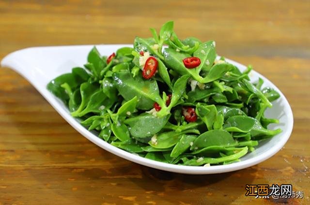 老鸽同田七炖汤?田七炖汤要不要加大蒜,这篇文章很受教益