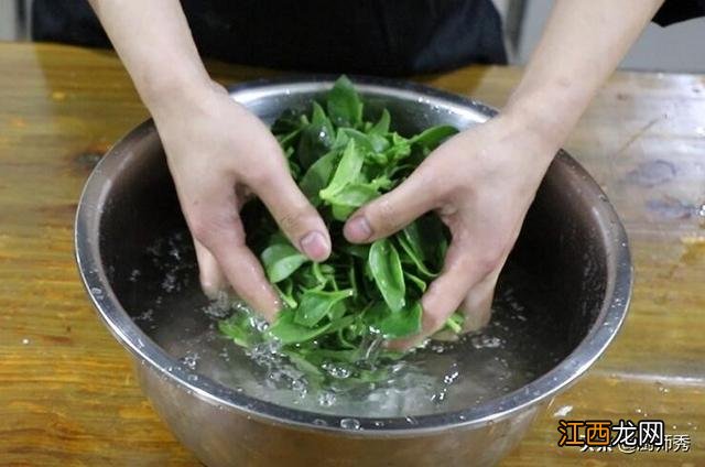 老鸽同田七炖汤?田七炖汤要不要加大蒜,这篇文章很受教益