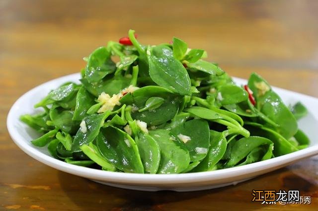 老鸽同田七炖汤?田七炖汤要不要加大蒜,这篇文章很受教益