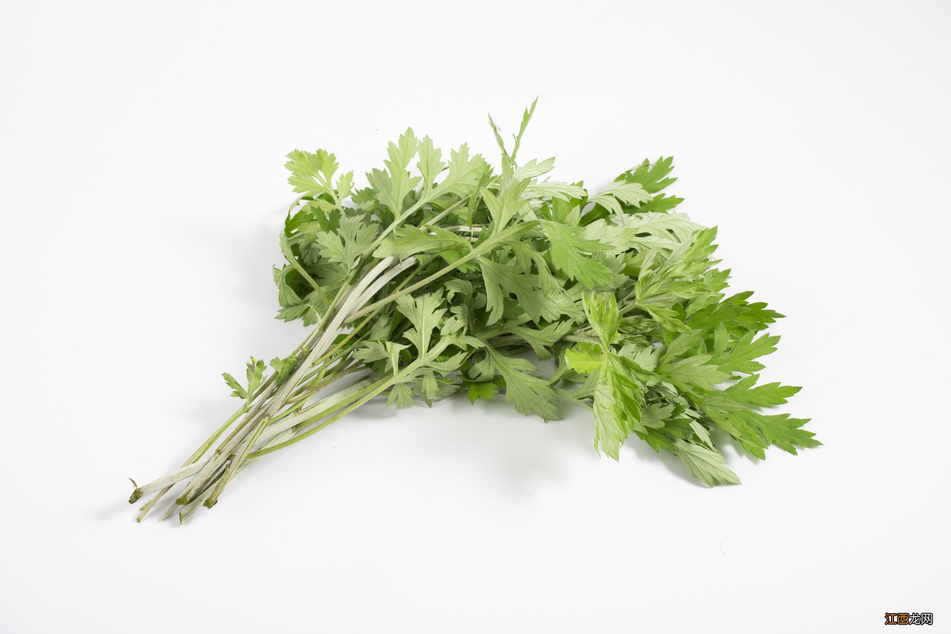 艾叶放肚脐眼有什么用-艾叶敷肚脐的作用