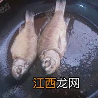 蒸鱼蒸蛋？蒸鸡蛋羹的鱼是什么鱼，这篇文章可以给你答案