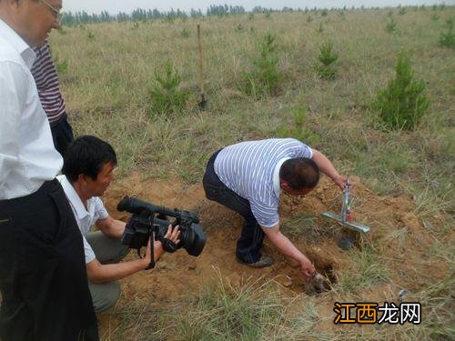 羊头是黄色的是什么羊？羊出没羊头专卖店在哪里，应该阅读此文