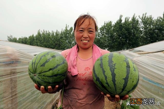 秋不食瓜下句是什么？说别人冬瓜是啥意思，此文写的太详细了