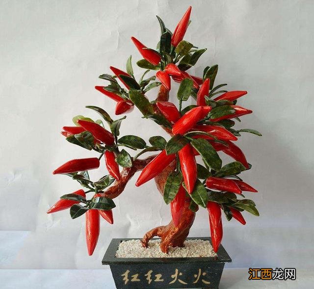 朝天椒的花叫什么名字？野花椒花图片，你知道吗？