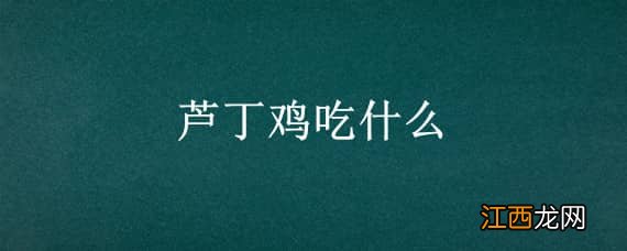 芦丁鸡吃什么_养鸡人必看