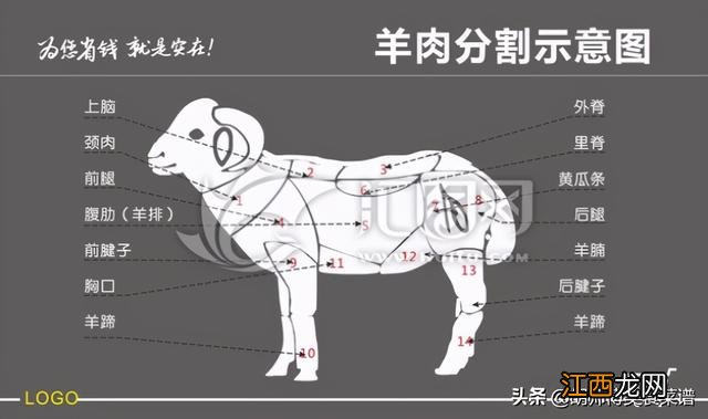 羊肉串用羊身上哪里的肉最好？羊肉串都是用的什么肉，完整的看完之后，明白了