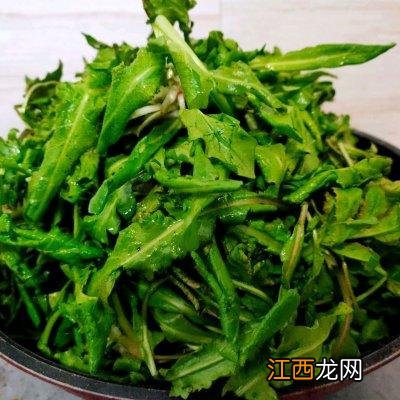 饺子包什么馅好吃有营养？芥菜饺子的营养与功效，点这有意想不到的惊喜