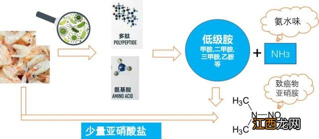 虾皮哪些牌子比较实惠？虾皮怎么选品牌，这篇文章道出实情