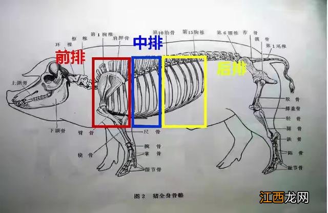 排骨都是什么部位？炖排骨最忌放三种调料，叒叒叒上新啦