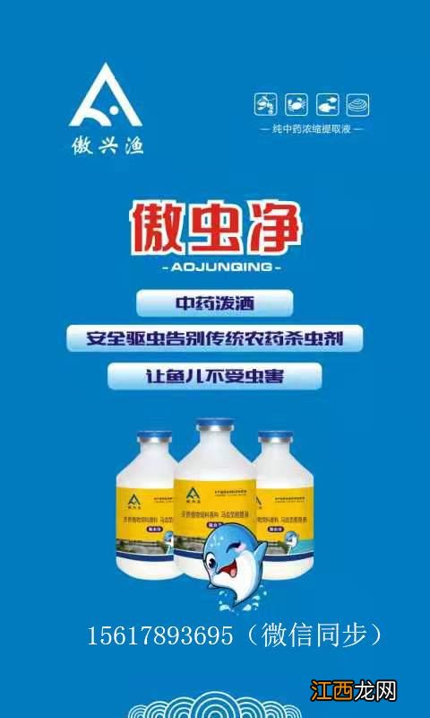 黄骨鱼黄粘液怎么处理？黄骨鱼黄粘液药用价值，原来诀窍这么简单