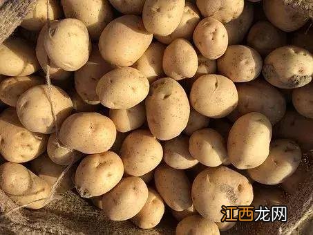 土豆药用价值与功用？土豆的特点与作用，点击链接直接打开