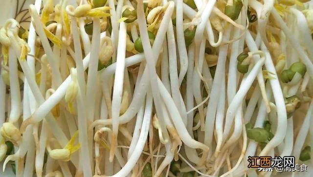 豆芽用水泡了一夜还可以吃吗?豆芽最佳搭配菜,很多人还不知道!