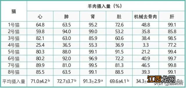 羊上脑长什么样？羊的脾脏长什么样，当真是好文啊