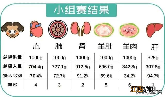 羊上脑长什么样？羊的脾脏长什么样，当真是好文啊