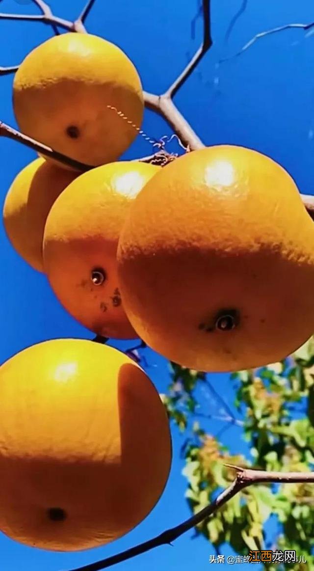 好多好吃的东西图片？好好吃图片，这几个一定要注意